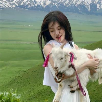 囧妈的极地任务